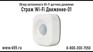 Обзор Wi-Fi датчика движения 