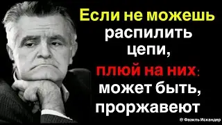 Мудрые слова, которые помогу справиться с трудностями в жизни.  Цитаты Великих Людей