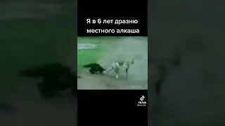 Прикол , собака откусила обезьяне яйца