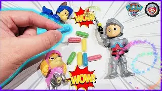 Paw Patrol Toys - Magic Animals | Education Video for Kids