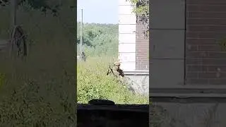 Слишком быстро бежал 🤔😅 