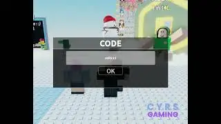 Fly RNG codes September 2024