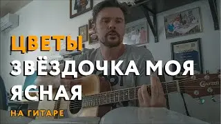Цветы — Звёздочка моя ясная | на гитаре