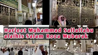 New blog Harjeet Muhammad Sallallahu alaihis Salam Roza Mubarak।