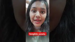 Meaning of tangible assets 