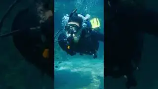 Mermaids Follow Diver 🧜🏼‍♀️ 