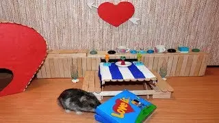 Happy Valentine's Day Hamster