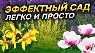 🏵⚡ЦВЕТУТ круче всех! 11 ШИКАРНЫХ кустарников без ухода