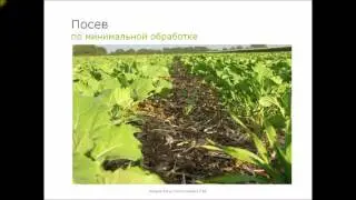 Основы защиты растений. Лекция № 5