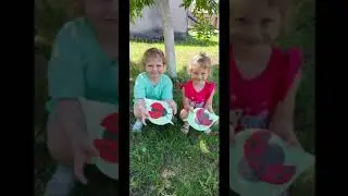 С днем божьей коровки