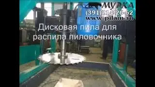 Оцилиндровочно пильный комплекс Мурка ОПК 500 pilam.ru