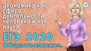 ЕГЭ по Обществознанию 2020. Экономика как сфера деятельности человека и как наука
