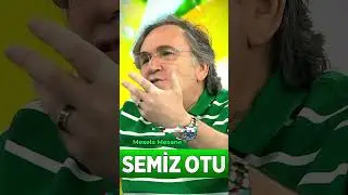 Semizotu  Hiç Bilinmeyen Faydası ❗🌿👍 #ibrahimsaraçoğlu #faydatv #şifalıbitkiler #semizotu