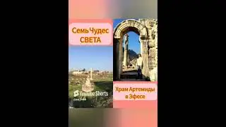 28 августа 2024 г.                                                    ●    СЛАВА   ИДИОТА.   PAI-54.