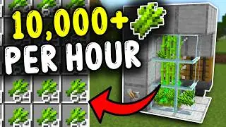 BEST SUGARCANE Farm Minecraft Bedrock 1.21!