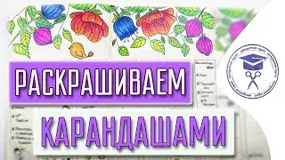 Техника Раскрашивания Карандашами ✏ Как Раскрашивать Цветными Карандашами