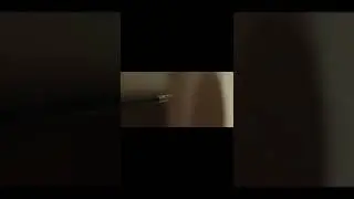 У парня в стене появился женский половой орган! Что посмотреть, обзоры фильмов