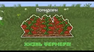 АВТОМАТИЧЕСКАЯ ФЕРМА ПОМИДОРОВ В МАЙНКРАФТ! ЖИЗНЬ ФЕРМЕРА #10