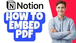 How to Embed PDF in Notion