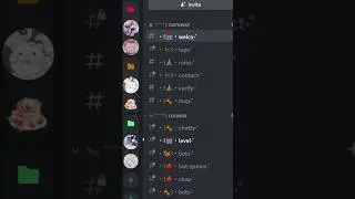 ˚ ༘♡ ⋆｡˚ How to organize your Discord servers