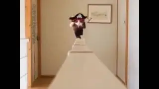🏃🏻‍🏃🏻‍