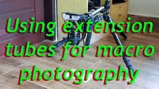 Using Extension Tubes For Macro Photography