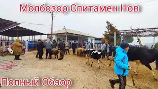 Молбозори Спитамен Нов. Полный Обзор.21.01.2024.