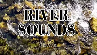 Relaxing River Sounds - 4k - 1 hour