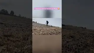 Коп на полі та Рекс 