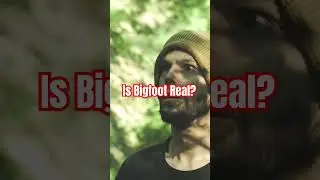 Is Bigfoot Real? 