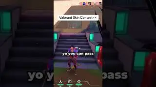 The Harshest Valorant Skin Contest❗️💀