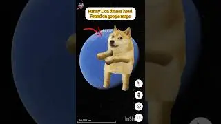 Doggy dinner head found on google earth and google maps #earthsecret377 #googlemaps