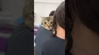 #cat