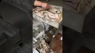 Commercial fish deboning machine bone crab meat separator