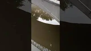 Симферополь река Салгир не клюёт 19 июня 2023