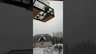 Ловля чечетки,как за ними ухаживать в домашних условиях?