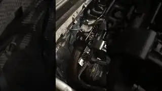 VID 20200403 081656