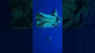 Со дна Моря подняли артефактов на миллионы долларов... 
