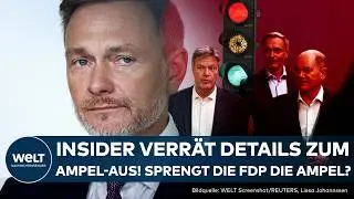 CHRISTIAN LINDNER: Ampel-Aus und Neuwahlen so gut wie besiegelt? FDP-Insider packt über Pläne aus