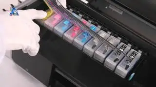 Как установить СНПЧ на EPSON R3000?
