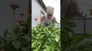 Какая у вас погода ?
