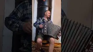Вологда на гармони#shorts