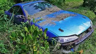 I BOUGHT THIS ABANDONED S15 SILVIA & I’M SAVING IT! - REAL LIFE BARN FIND!