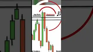 why my trades keep on getting stopped out?