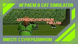 Играем в Cat Simulator вместе с СуперАдмином! [18+]