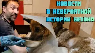 Новости от Бетона, спустя 16 дней после спасения. Верновцы - спасение животных.