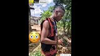#plantain tree #produced #money discovery’s