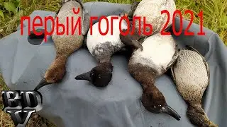 Первый гоголь 2021 4К