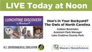 Lunchtime Discovery: Hoo's in Your Backyard? The Owls of North Carolina