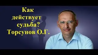 Как изменить судьбу Торсунов О.Г.